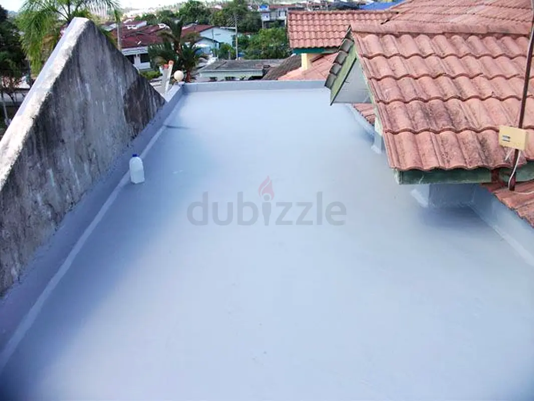 DPV_View_Image_4
