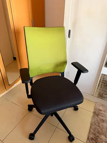 Ergonomic Office Chair with Green Mesh Back and Adjustable Arms