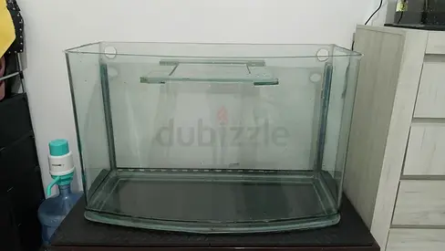 Aquarium 250 liter / 68 gallon
