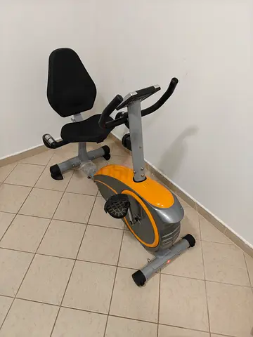 Skyland recumbent Exercise Bike with Backrest - Good Condition