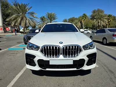 2023 BMW X6 照片 4