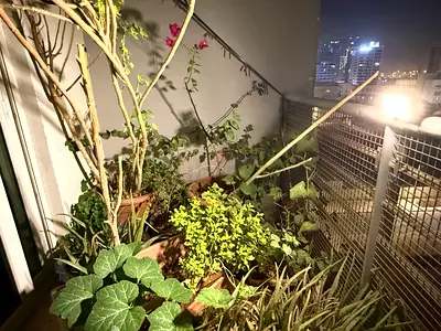 Solar Wall Light /Garden Light 1000LM Dual CCT