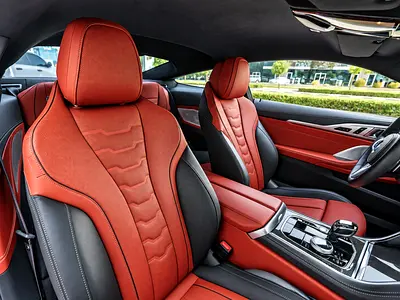 2021 BMW 8-SERIES 缩略图 11