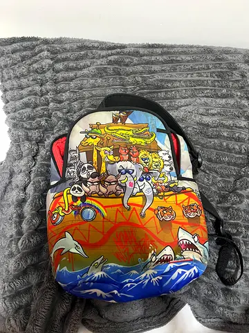 Sprayground bag used