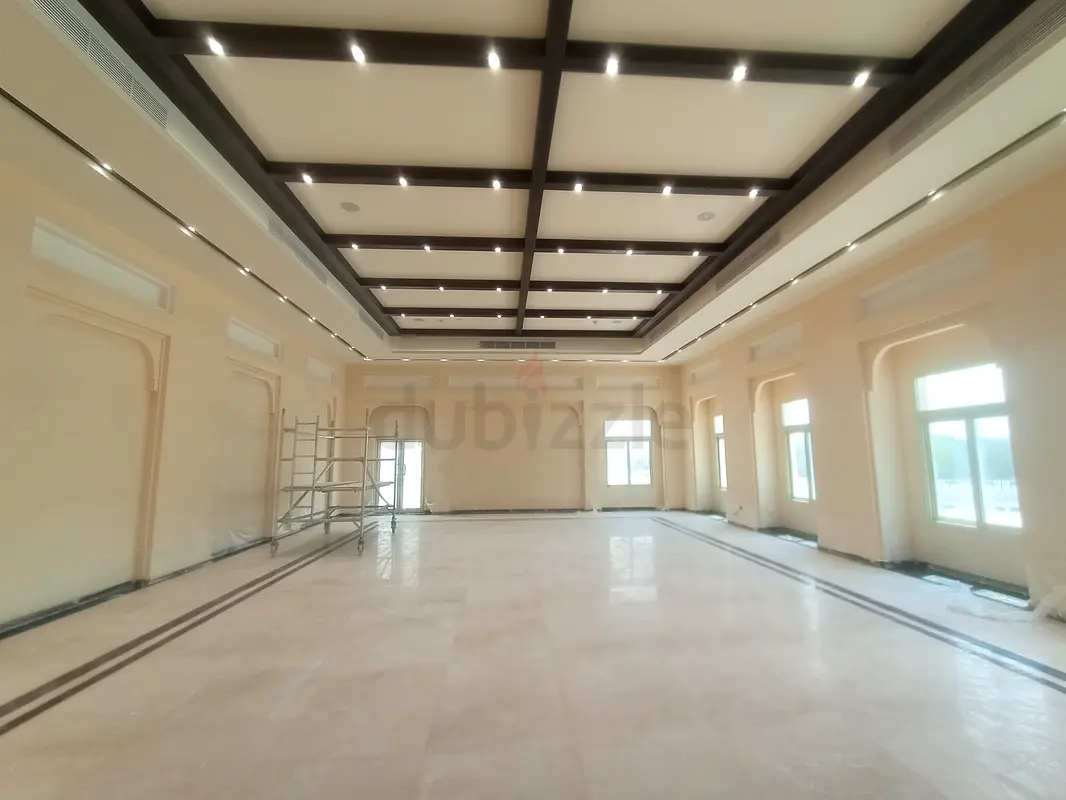 DPV_View_Image_0