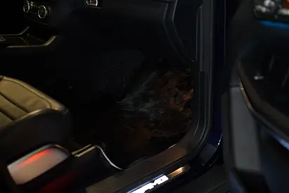 2017 Mercedes-BENZ GLS 缩略图 11