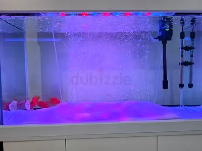 Large glass aquarium with cub board stand - (90–100cm)