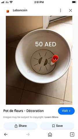 Pot