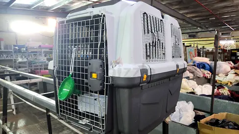 Dogs carriers for air travel L 80