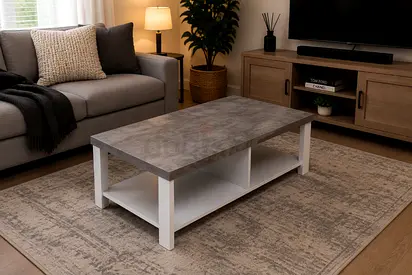 Modern look coffee table with storage shelf
