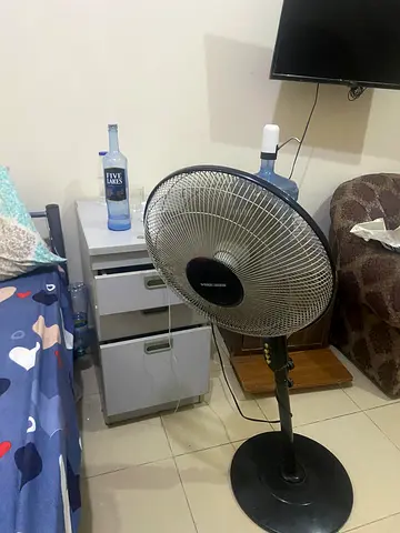 Black Adjustable Electric Stand Fan