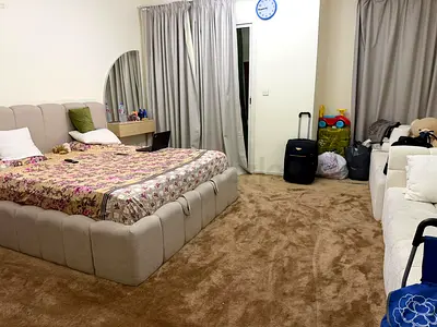 Used Large Plush Brown Wall-to-Wall Carpet — Good Condition