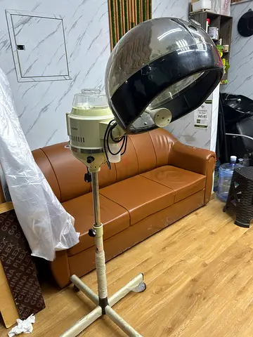 Hair and face steamer