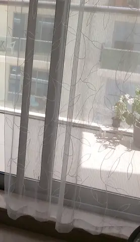 Curtains (Pair) - White Lace