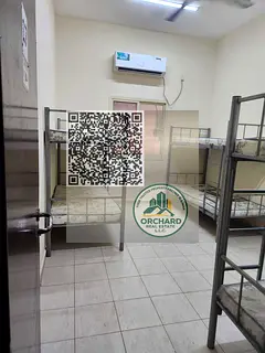 HOT DEAL 13 ROOMS LABOUR CAMP