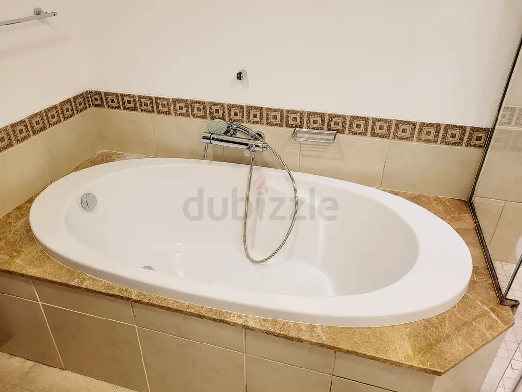 DPV_View_Image_1
