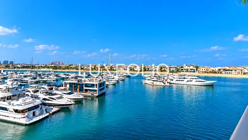 Rare to Market | Vacant on Transfer | Full Atlantis View