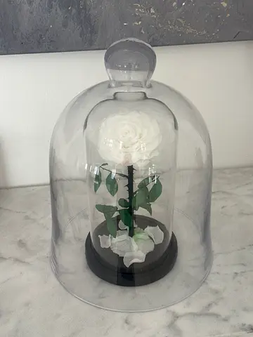 Decorative white preserved rose in glass dome