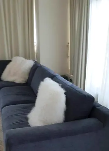 luxury sofa