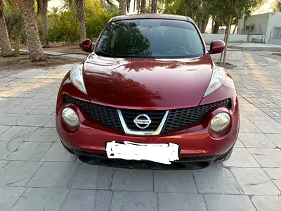 2014 Nissan JUKE 照片 6
