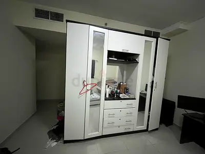 Spacious Black and White Wardrobe with Mirrors and Drawers