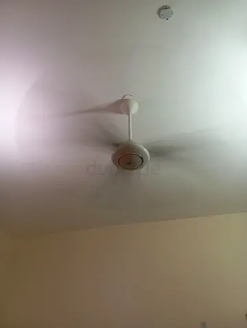 White ceiling fan - working condition, simple design 2 nos