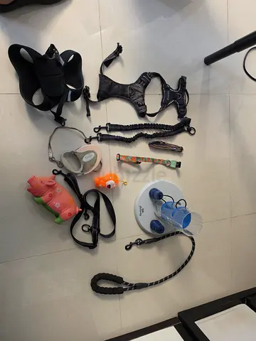 Assorted dog leashes, harnesses, training gear and toy treat dispenser - used set