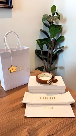Dior Reversible Oblique Belt