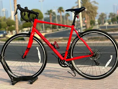 Fuji Roadbike (L)