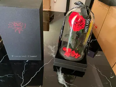 preserved Red Rose in glass dome (everlasting)