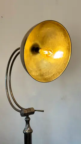 Adjustable Chrome Floor Lamp with Dome Shade