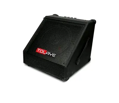 Tolaye Wedge Stage Monitor Speaker - Good Working Condition