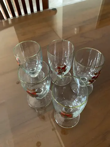 Set of 5 Small Decorative Drinking Glasses with Floral Detail