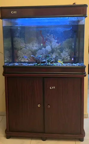 Aquarium