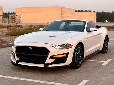 Ford Mustang Ecoboost 2019 Convertible