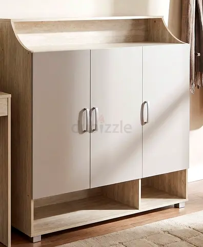 Shoe storage cabinet