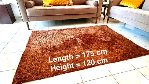 Modern shaggy rug 175x120 cm