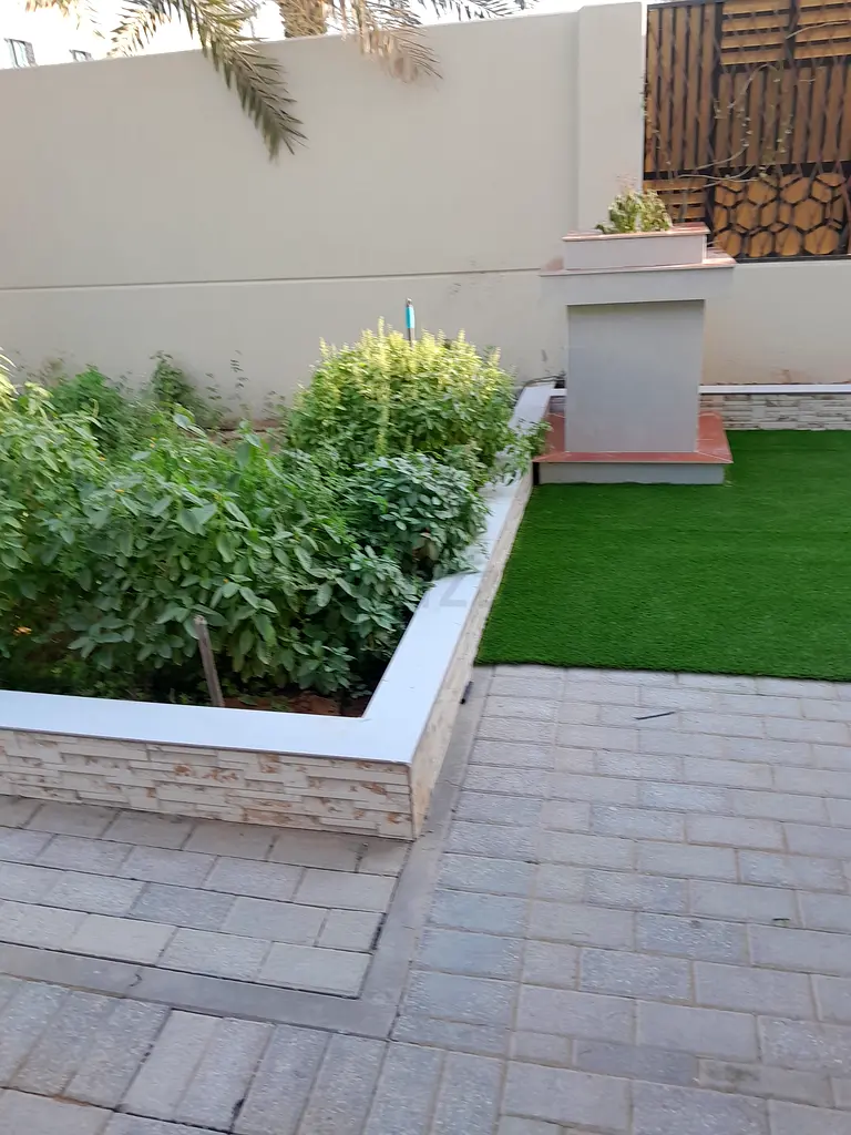 DPV_View_Image_0