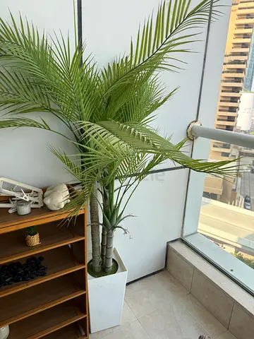 Tall artificial palm plant in white square pot - good condition