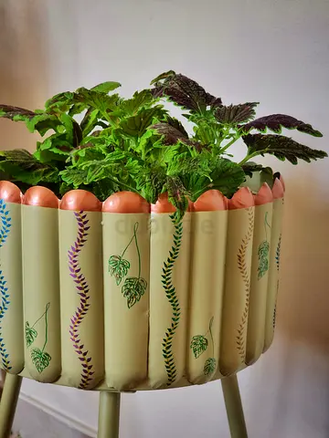 Coleus indoor plant bundle with tall painted metal plant stand