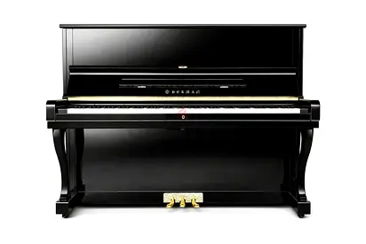 Helman SR6 Acoustic Piano - Great Touch & Tone