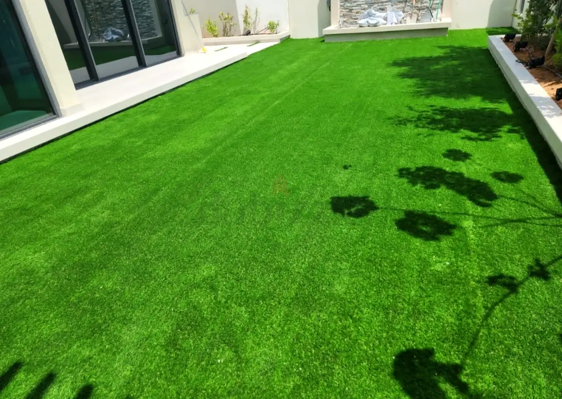 DPV_View_Image_3
