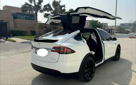 2020 Tesla MODEL X — миниатюра 15