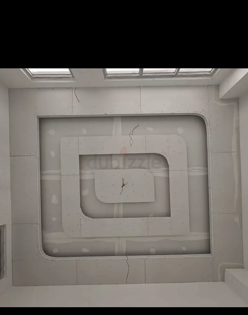 DPV_View_Image_2
