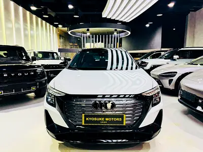 Audi Q5 e-tron 2024 40 Black Knight Edition