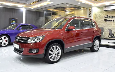 2014 Volkswagen TIGUAN 照片 2