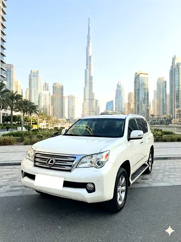 2010 Lexus GX-SERIES 照片 2