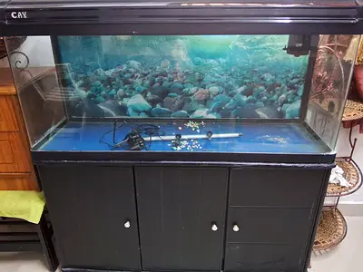 FISH AQUARIUM FOR SALE