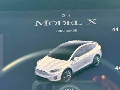 2020 Tesla MODEL X — миниатюра 11