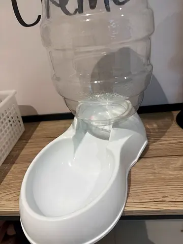 Cat water dispenser